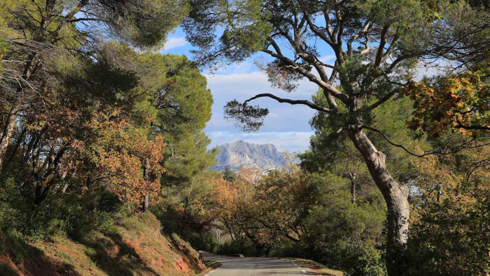 Balade à la Sainte Victoire (13) – Cécé from Aix