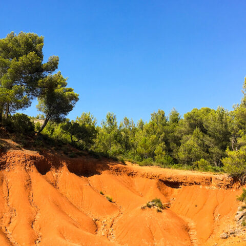 Parcs et domaines départementaux