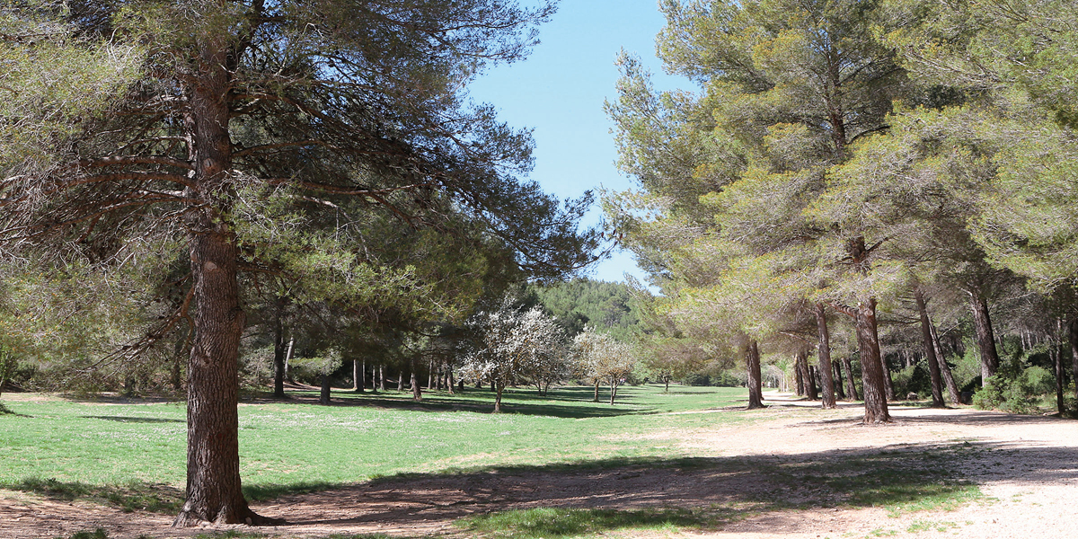 Parc départemental de Roques-Hautes