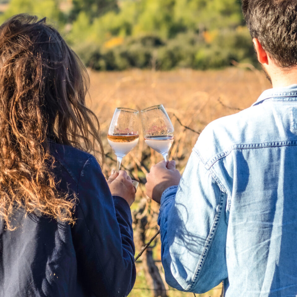 Visite de cave et dégustation de vin