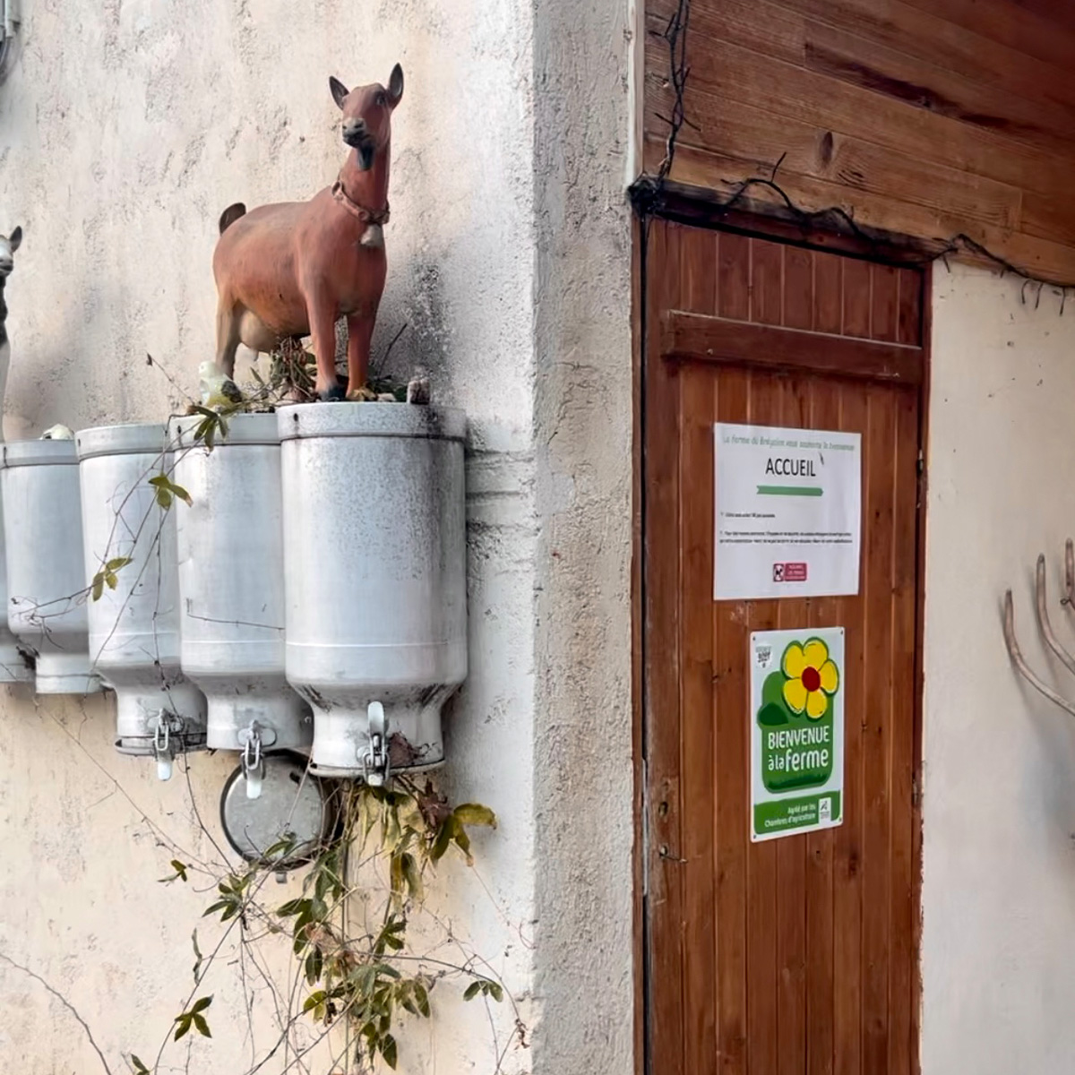 ferme-du-bregalon-entrée Rognes