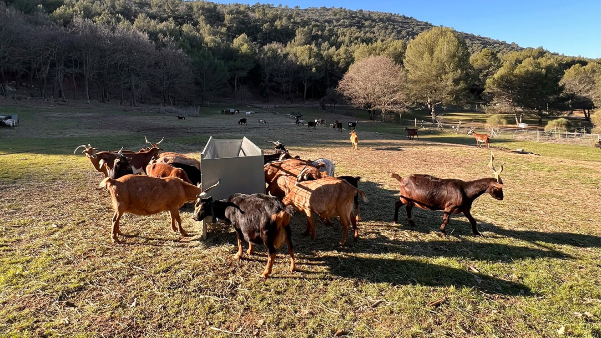 pastorale-du-regagnas Trets