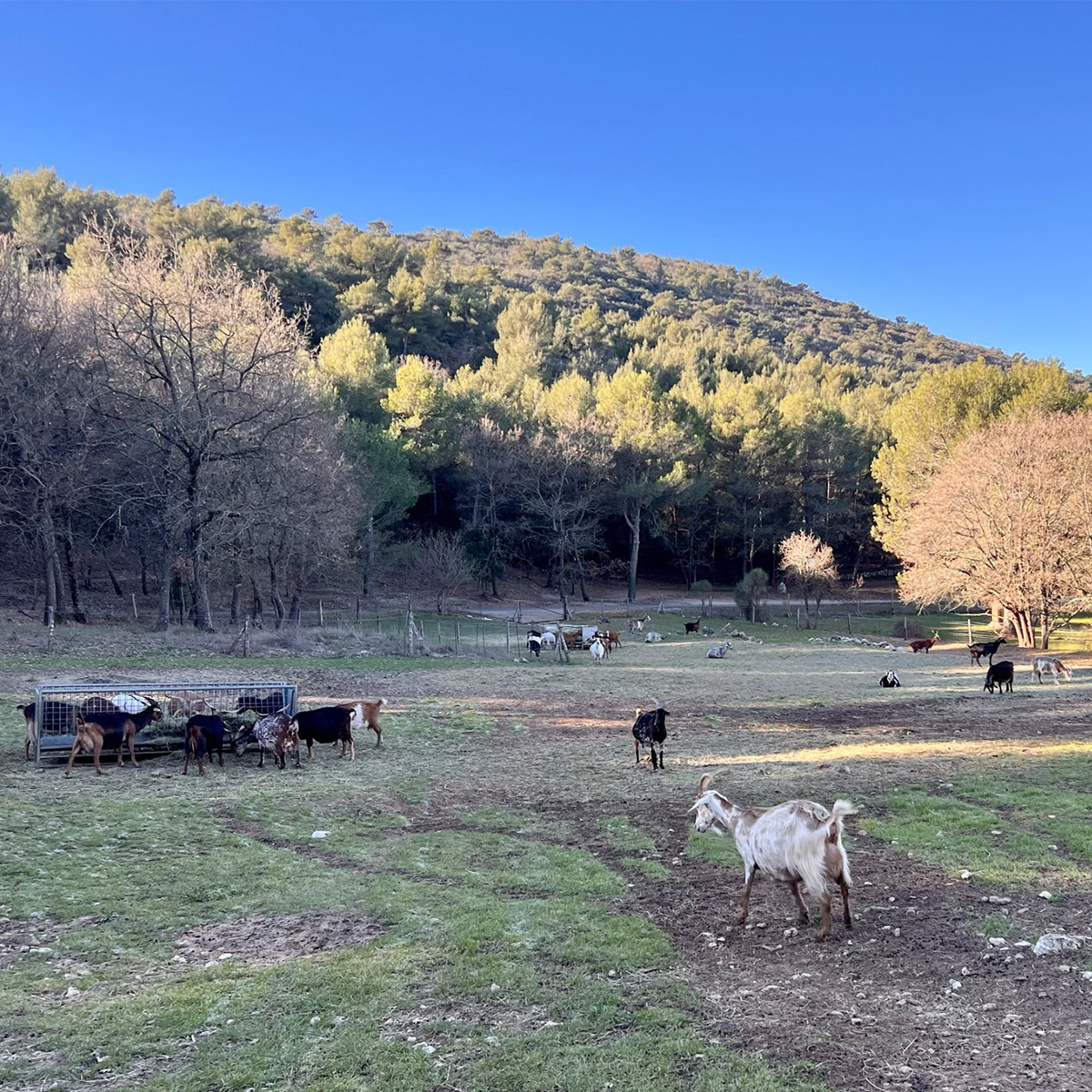 pastorale-du-regagnas Trets