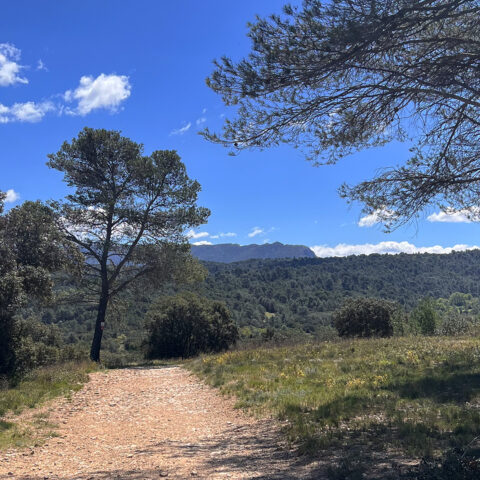 rando-collet-blanc venelles