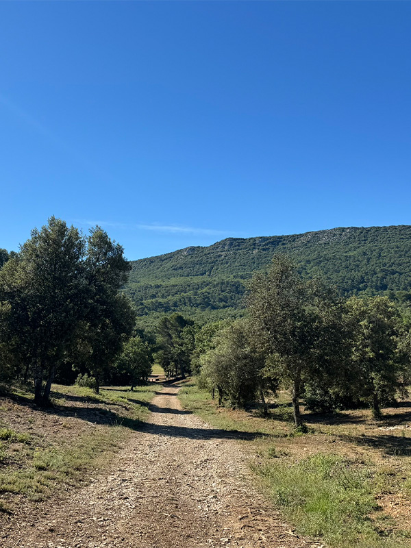 le-taulisson-le-concors-randonnee