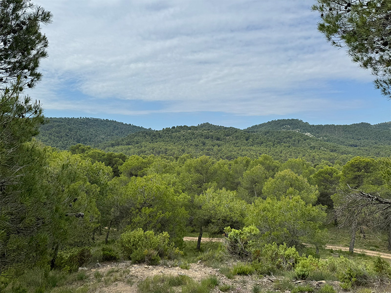 notre-dame-d-astors-peyrolles-en-provence-randonnee-3 notre-dame-d-astors-peyrolles-en-provence-randonnee-3