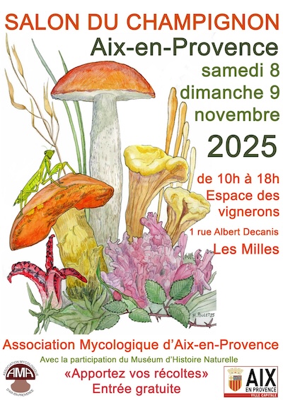 2025 - Affiche - Salon du Champignon Aix-en-Provence