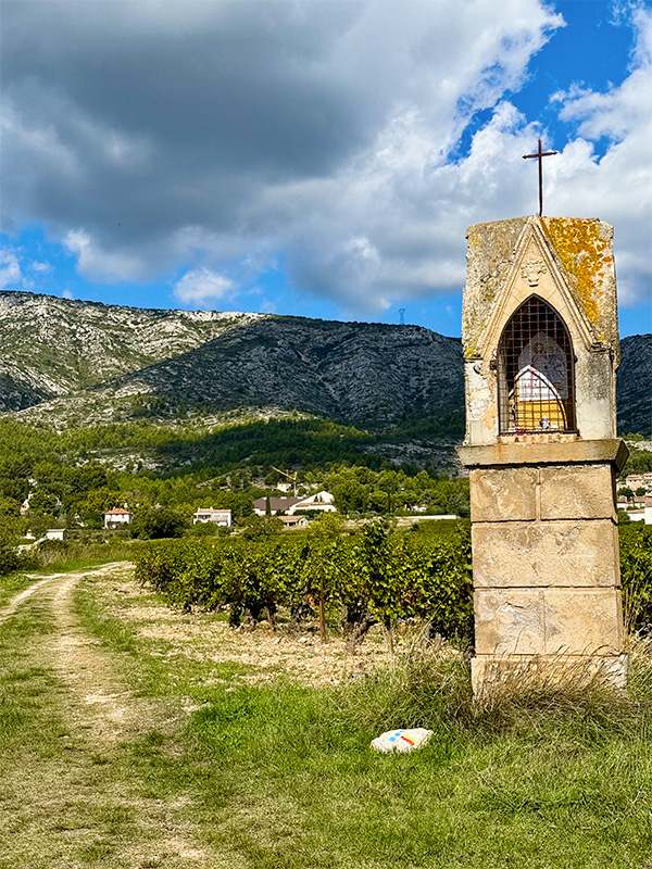 balade-sentier-vigneron-puyloubier2 sentier puyloubier