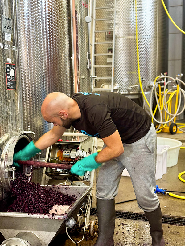 beaupre-cave-2 Chateau Beaupre pays d'Aix-en-Provence