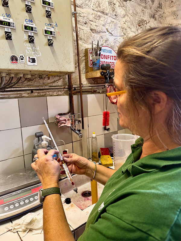 beaupre-cave-3 Chateau Beaupre pays d'Aix-en-Provence