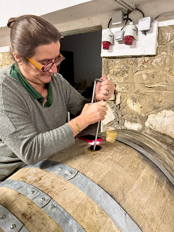 beaupre-cave-4 Chateau Beaupre pays d'Aix-en-Provence