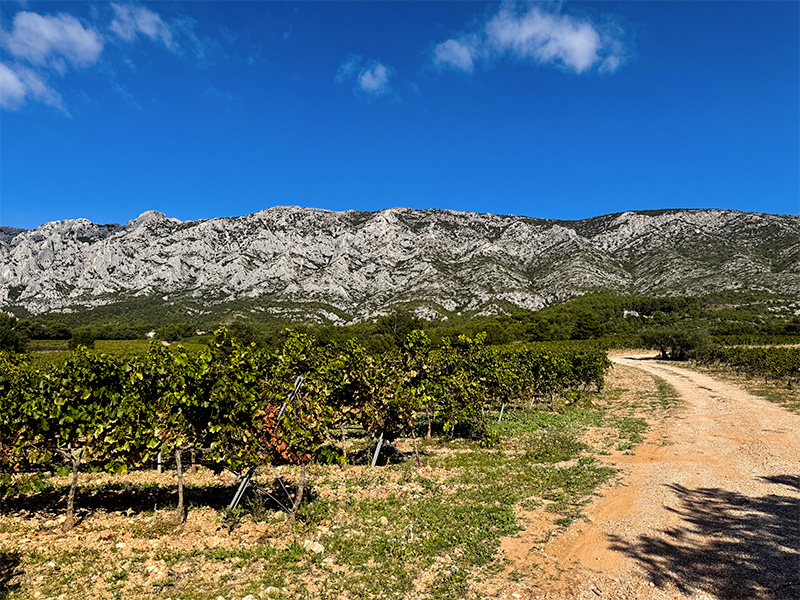 etape-4-sentier-des-vignerons-puyloubier Sentier des Vignerons Puyloubier