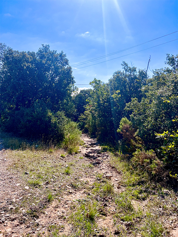 etape-5-1-sentier-des-vignerons-puyloubier Sentier des Vignerons de Puyloubier