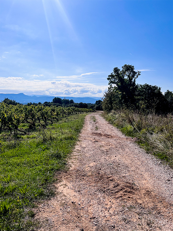 etape-5-sentier-des-vignerons-puyloubier