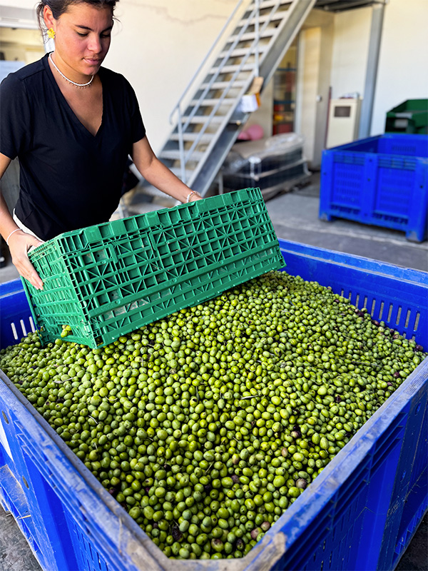 moulin-eguilles-olive-2 Moulin d'Eguilles huile d'olive