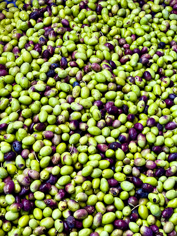 moulin-olive-eguilles