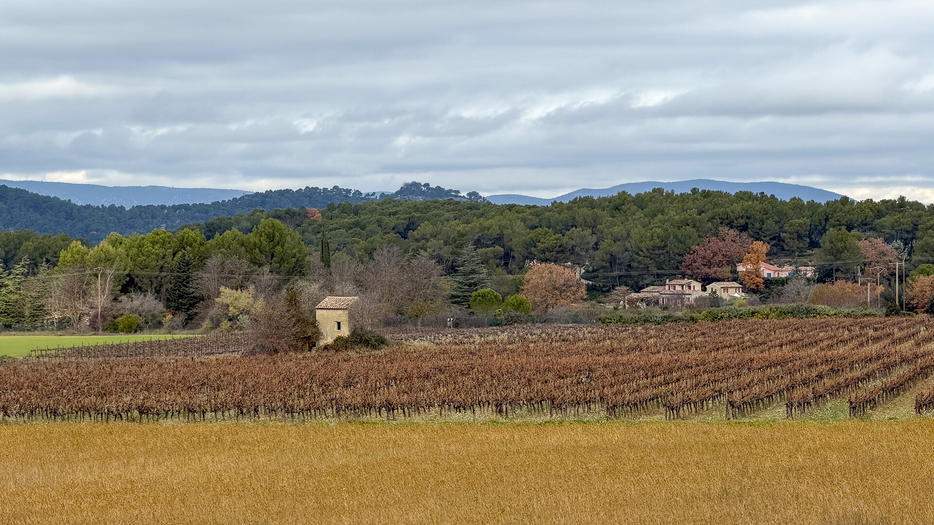 Randonnée à Rognes, sentier vigneron : Boucle de la Chapelle.