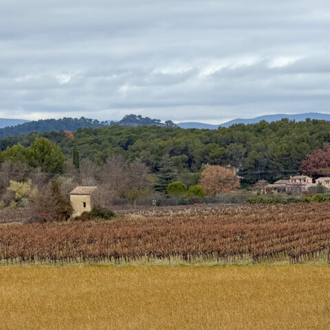 Randonnée à Rognes, sentier vigneron : Boucle de la Chapelle.