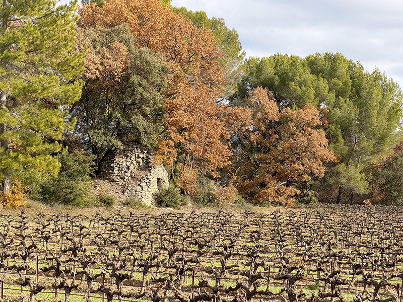Randonnée à Rognes, sentier vigneron : Boucle de la Chapelle.