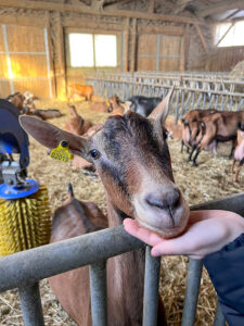 ferme du bregalon rognes pays d'aix en provence