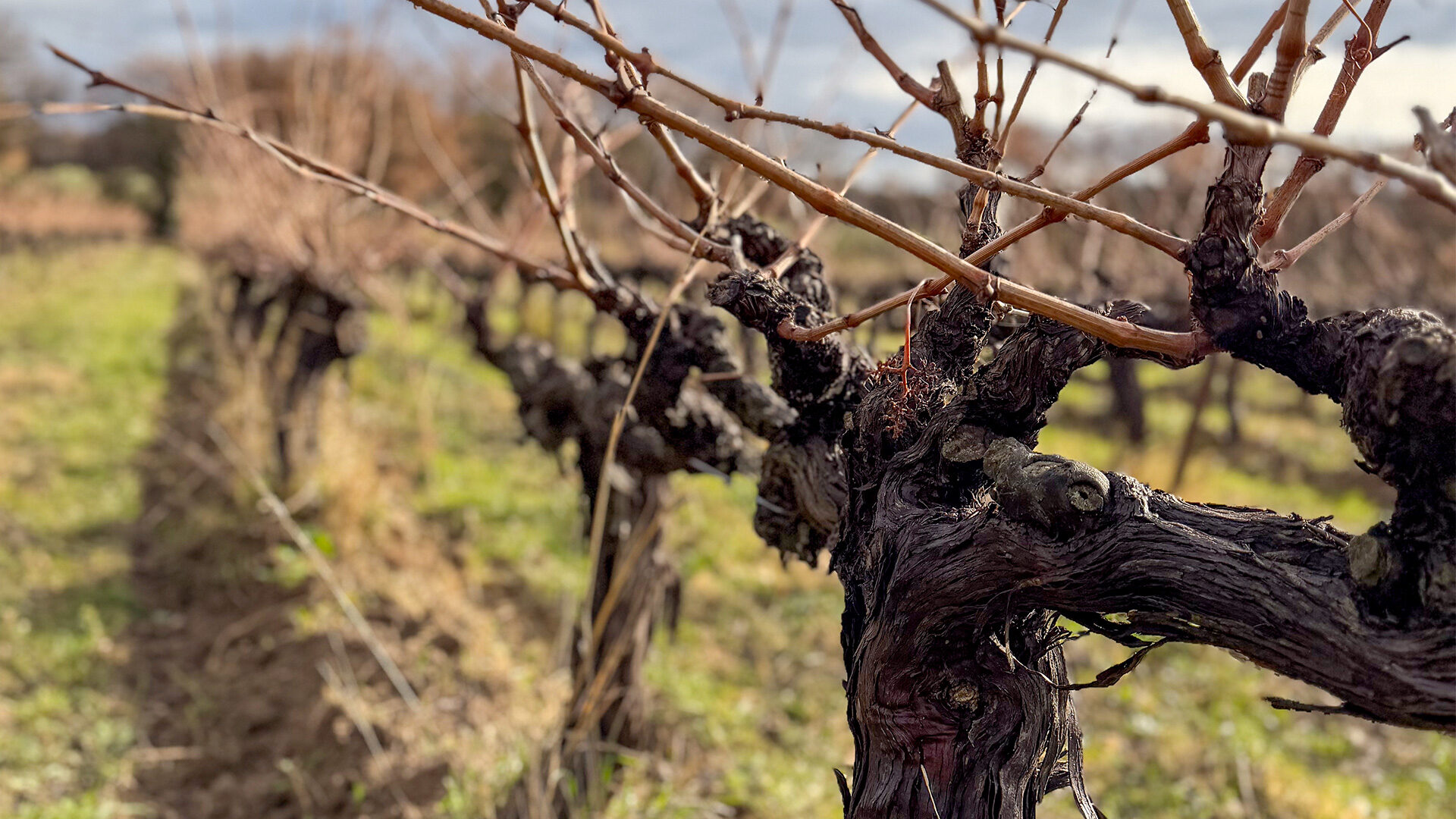 L’hiver au domaine Les Béates