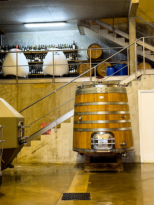 Les Béates, quand l’hiver prépare le vin de demain