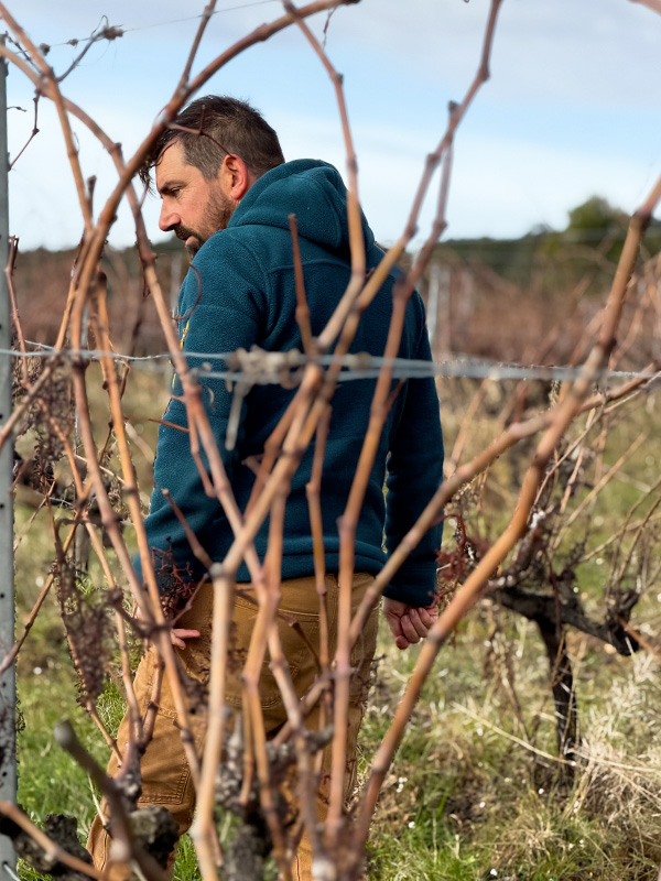 Les Béates, quand l’hiver prépare le vin de demain