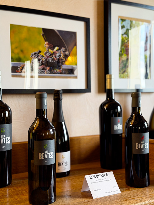 Les Béates, quand l’hiver prépare le vin de demain