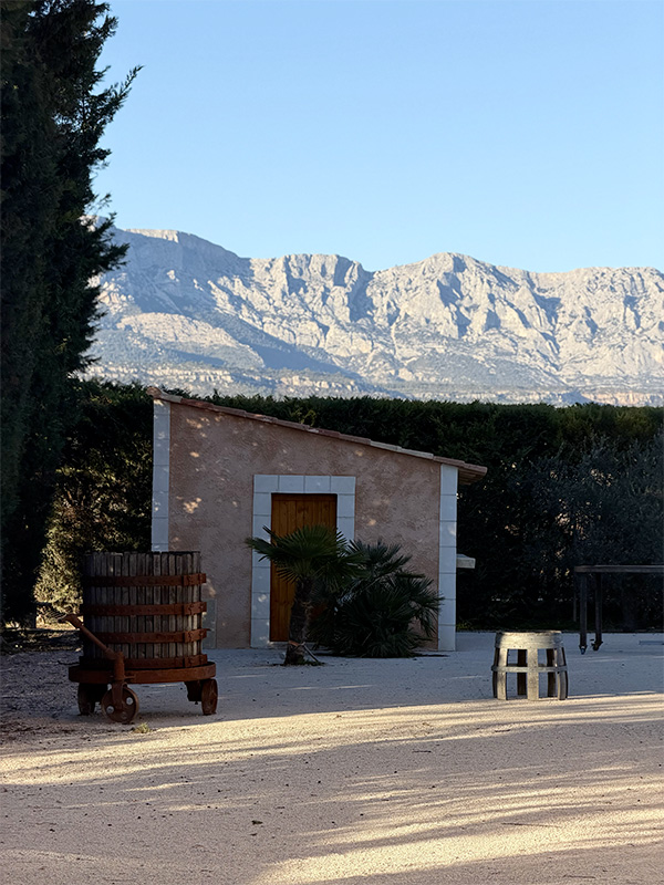 Terre de Mistral Domaine viticole à Rousset
