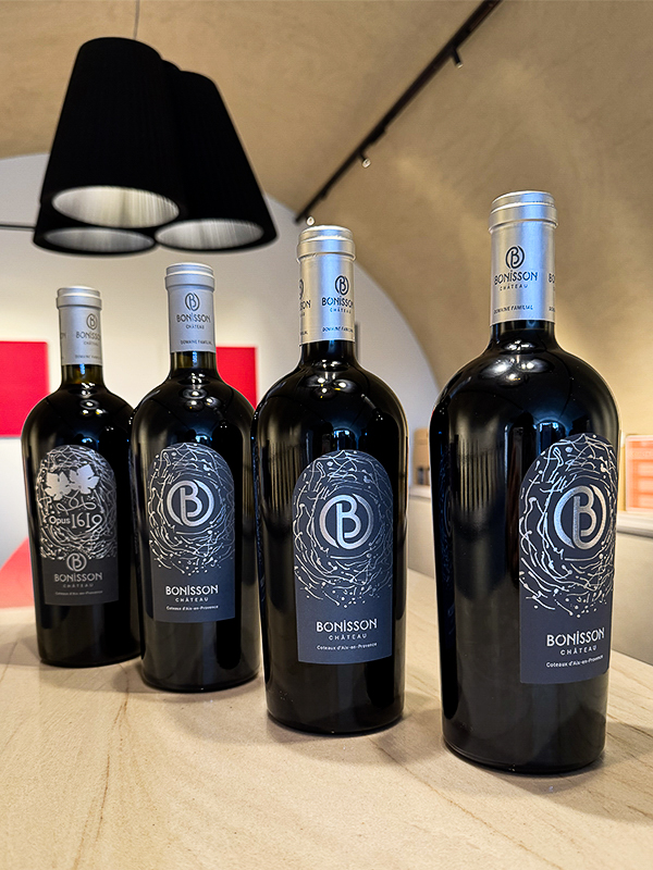 Bonisson Art Center à Rognes