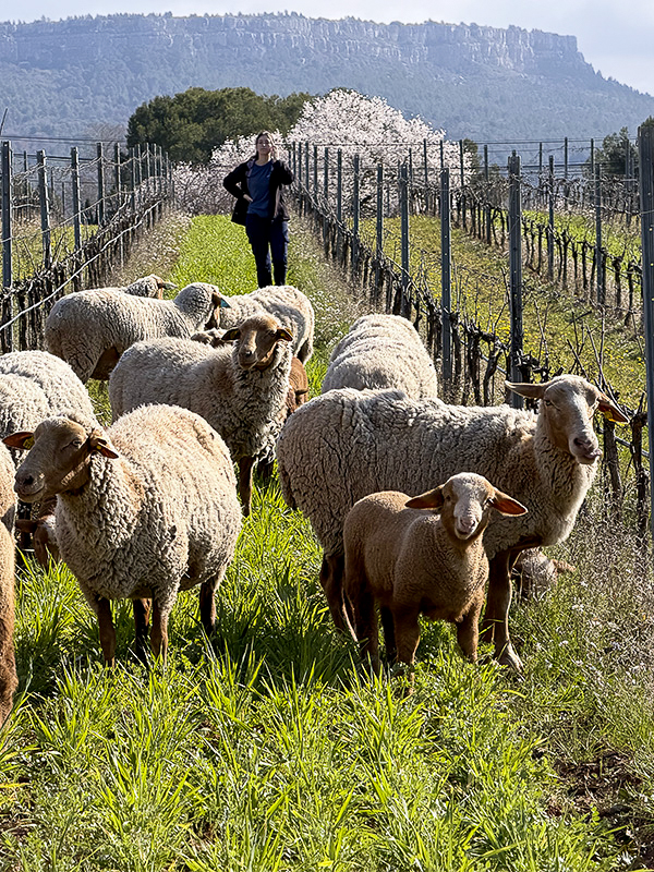 chateau-henri-bonnaud-le-tholonet