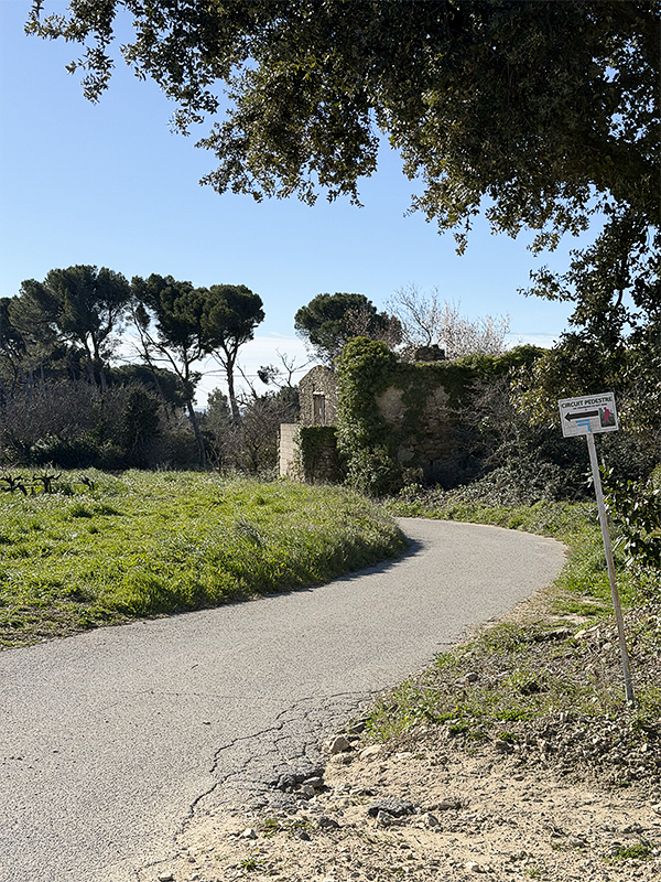sentier Vignobles du Roy René Lambesc