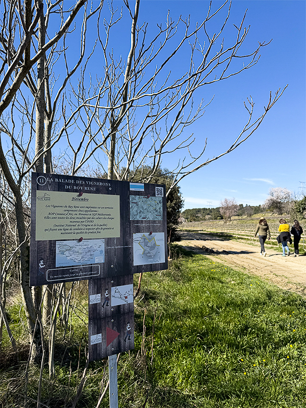 Sentier Vignoble du Roy René Lambesc