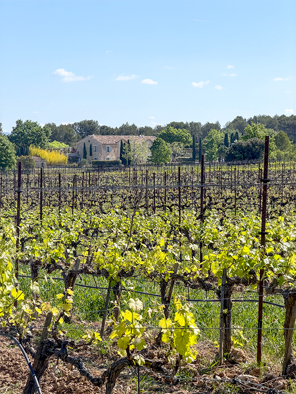 chateau-paradis-10
