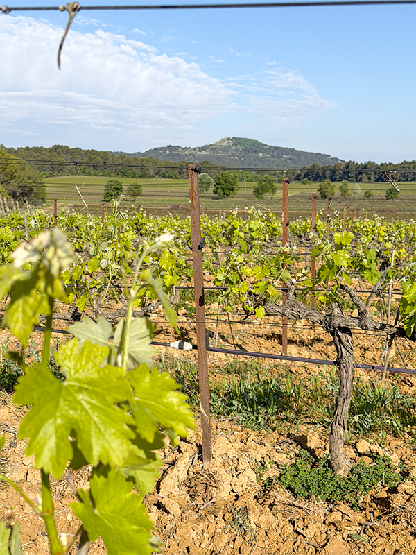 chateau-paradis-4