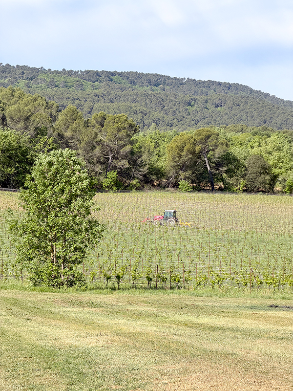chateau-paradis-sentier-vigneron-5
