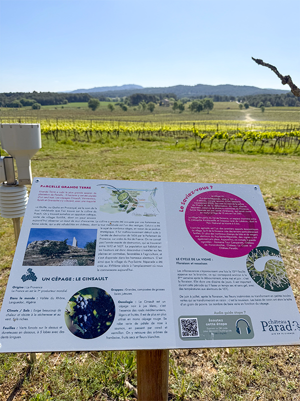 chateau-paradis-sentier-vigneron-7