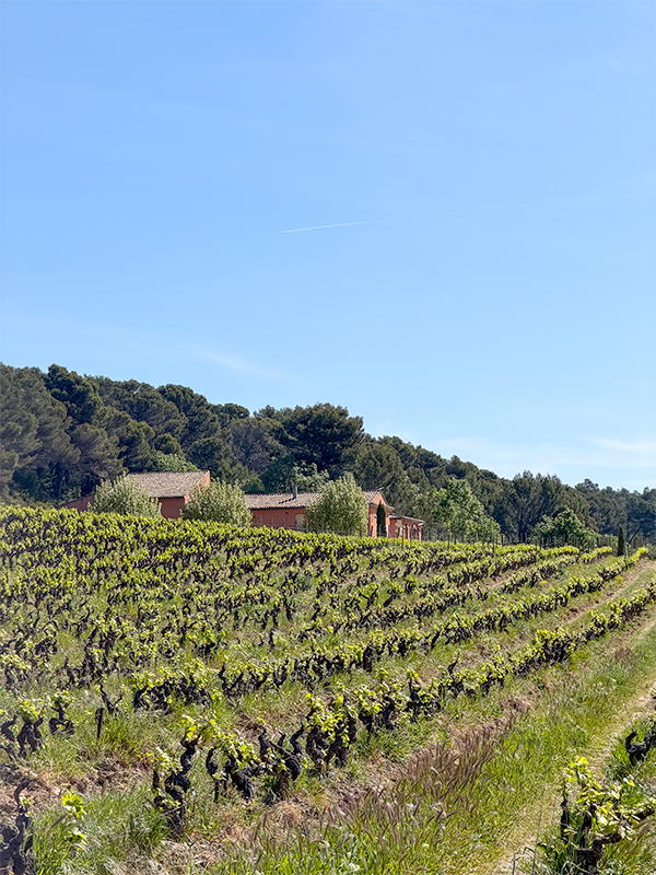 la-brillane-vue-du-domaine-aix-en-provence
