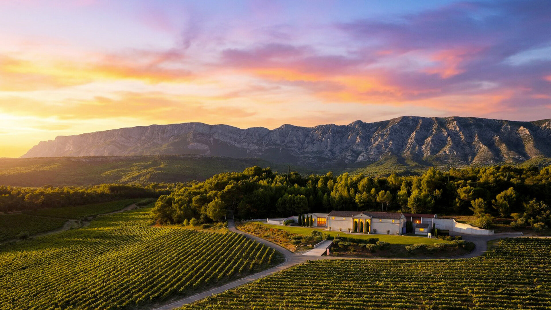 Que faire dans les vignobles autour d’Aix-en-Provence cet été ?