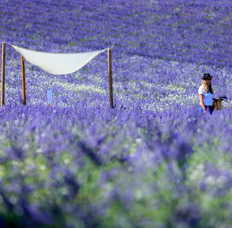 Terre-Ugo-Aix-en-Provence-_-Camille-Moirenc