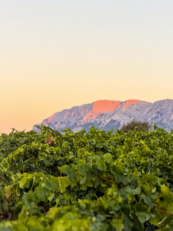 lever-de-soleil-sainte-victoire-puyloubier