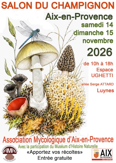 2026 - Affiche - Salon du Champignon Aix-en-Provence